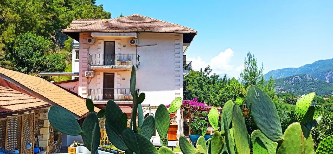 Swiss Eviniz Hotel (Adults Only) アドラサン エクステリア 写真